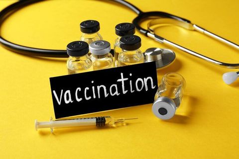 Understanding the Hepatitis B Vaccine: Schedule, Safety, and Adult Immunization