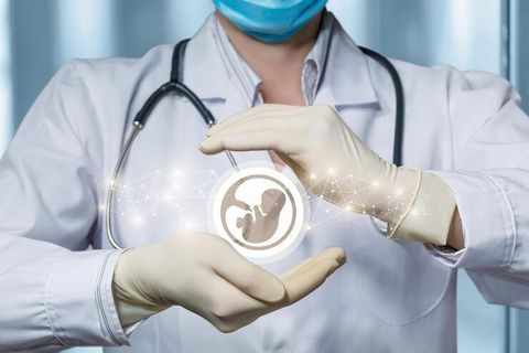 IVF Explained: A Complete Guide to In Vitro Fertilization, Procedures, Benefits, and Risks